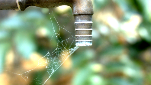 scarcity-drought-spider-web-water-spout